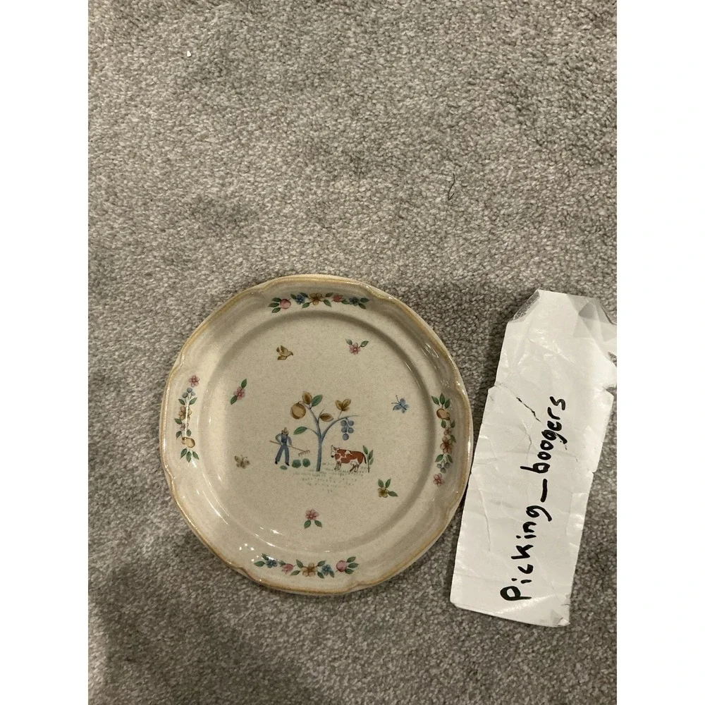Set of 10 International Heartland Dinner Plate Farmhouse Country Stoneware Sakur
